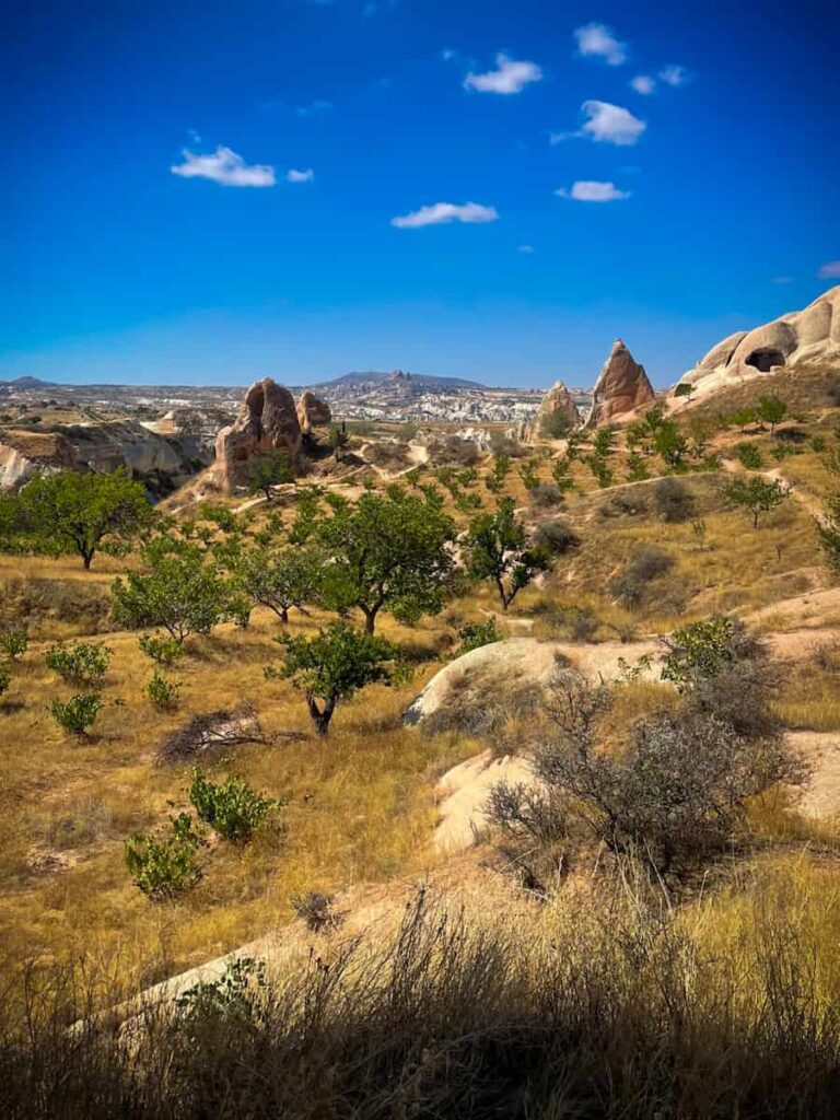 Dolina Róż Kapadocja